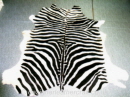 Zebra Printed Cowhides for Rugs